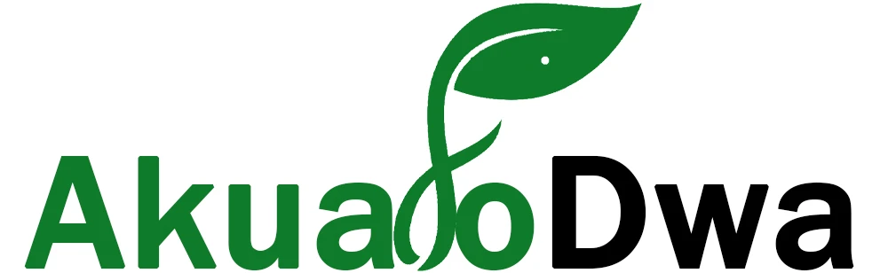 Akuafo Dwa